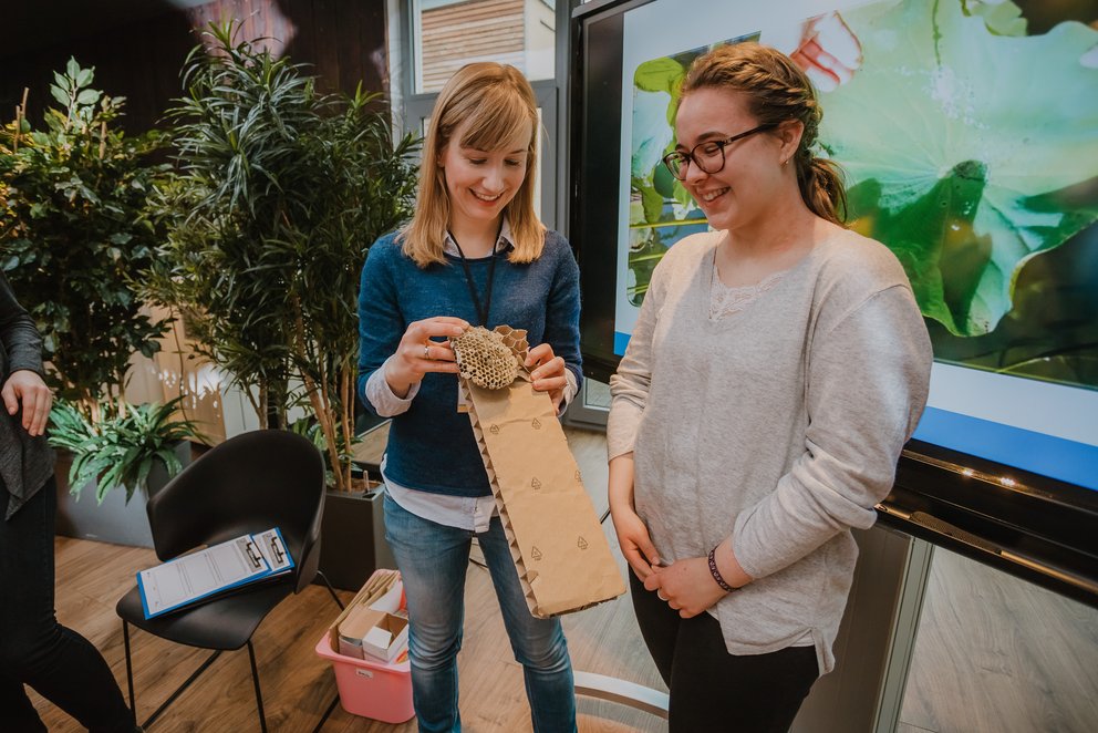 Bildung für nachhaltige Entwicklung