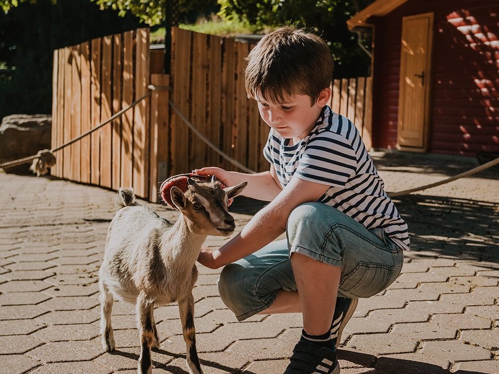 Streichelzoo & Haustierbereich