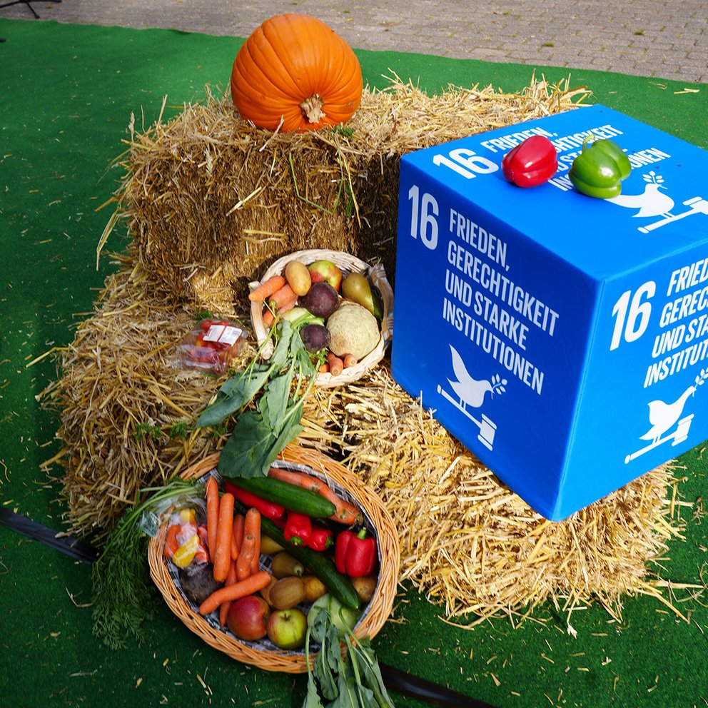 Fotogalerie_Erntedank_und_Friedensfest_2024