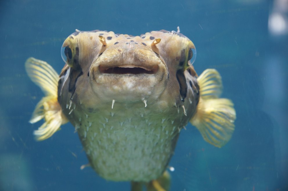 Aquarien- Terrarienhaus