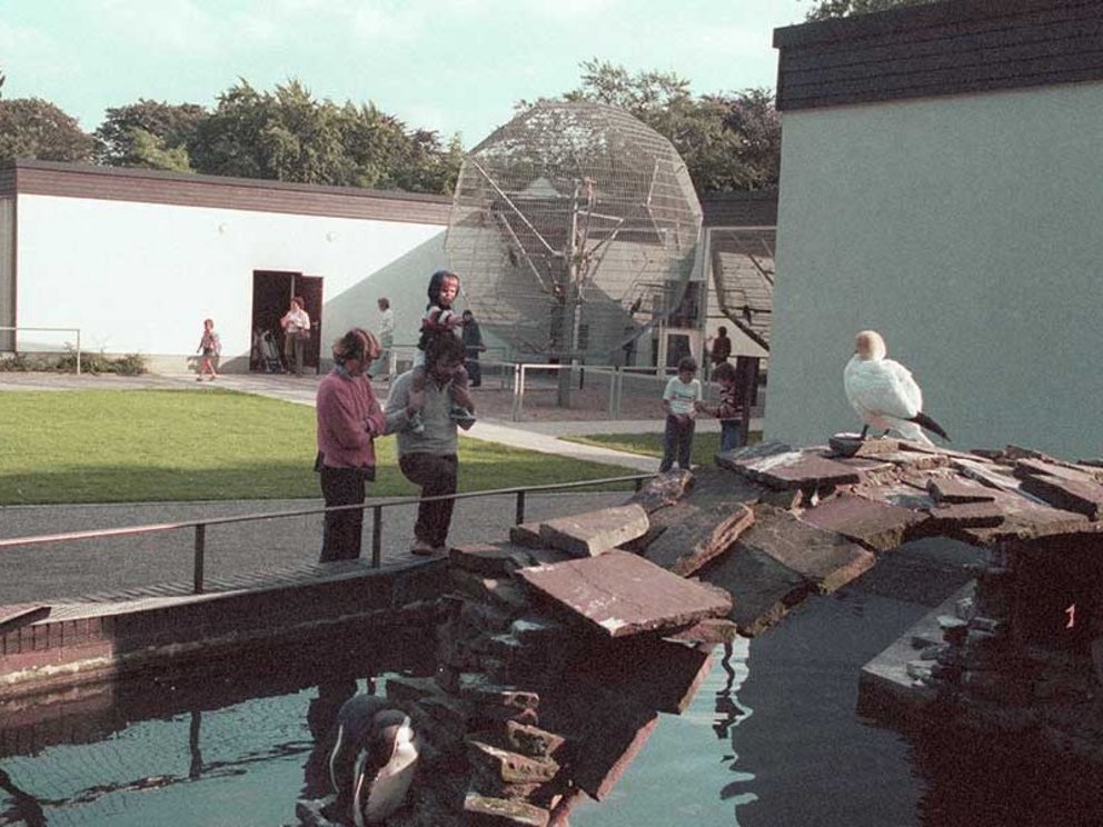 Immer in Entwicklung