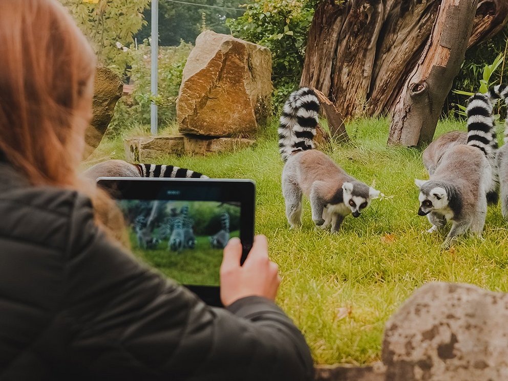 Videos aus dem Tierpark