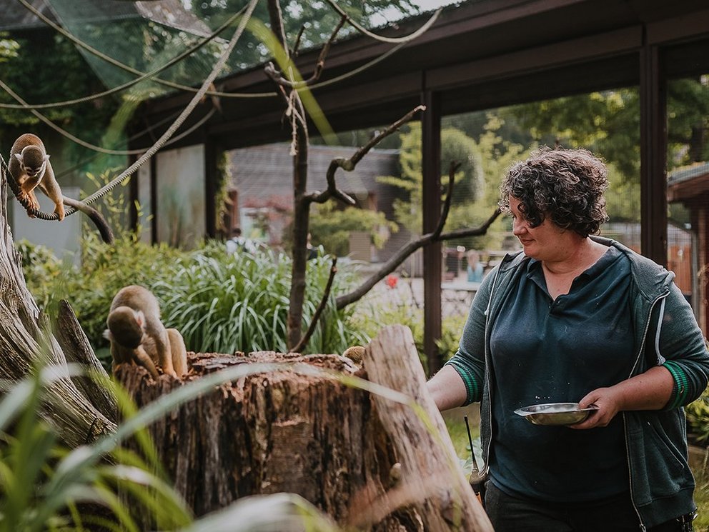 Arbeiten im Tierpark