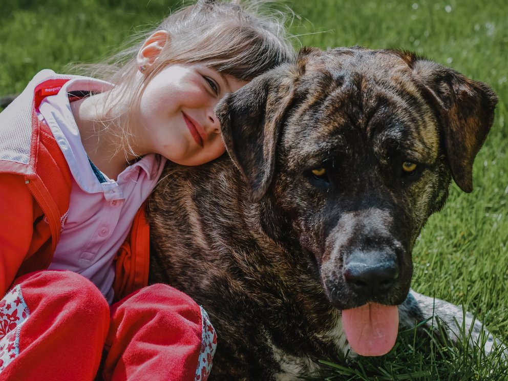 Tierschutzstiftung Bochum