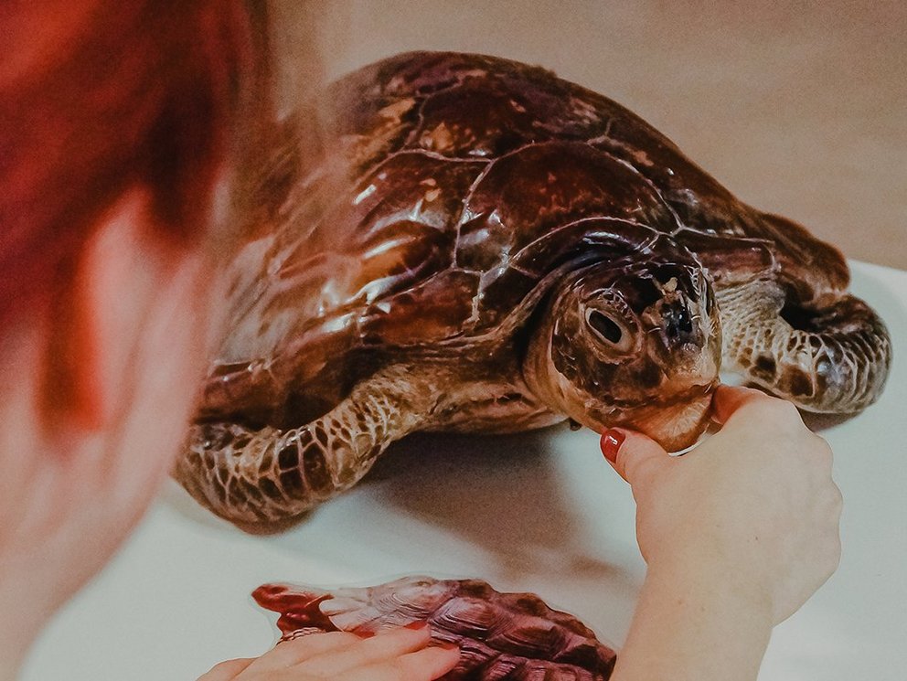 Artenvielfalt Inklusiv