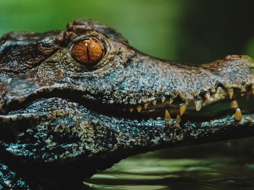 Arbeitsschutzmanagement